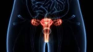 Gynecological Cancers